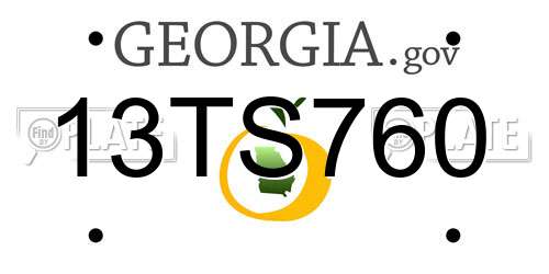 13TS760 Georgia License Plate