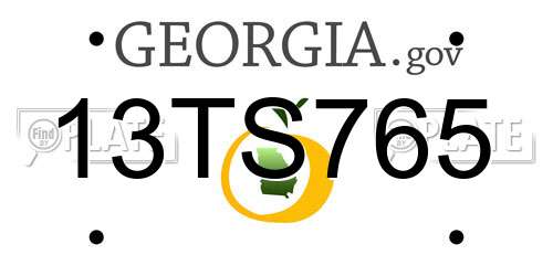 13TS765 Georgia License Plate