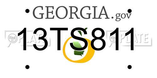 13TS811 Georgia License Plate
