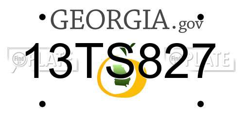 13TS827 Georgia License Plate