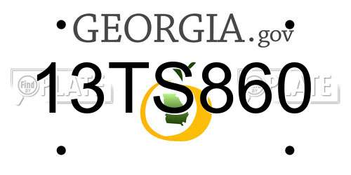 13TS860 Georgia License Plate