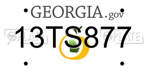13TS877 Georgia License Plate