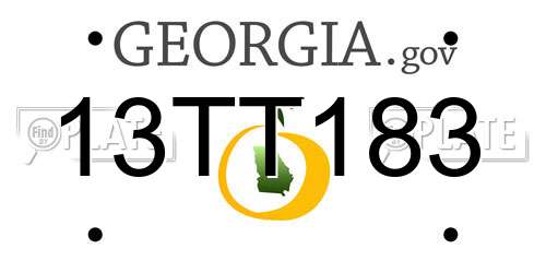 13TT183 Georgia License Plate
