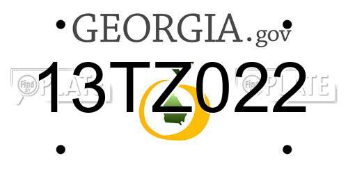 13TZ022 Georgia License Plate