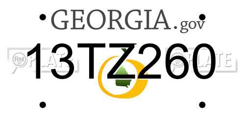 13TZ260 Georgia License Plate