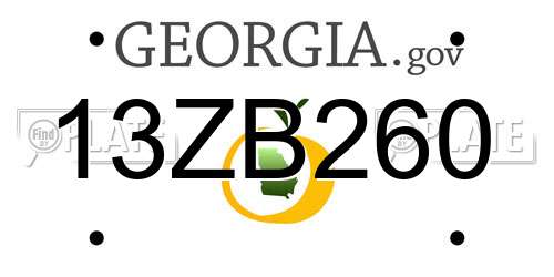 13ZB260 Georgia License Plate