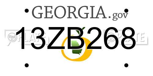 13ZB268 Georgia License Plate