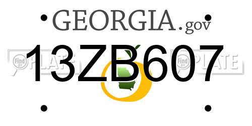 13ZB607 Georgia License Plate