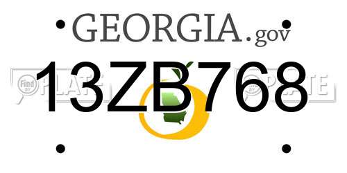 13ZB768 Georgia License Plate