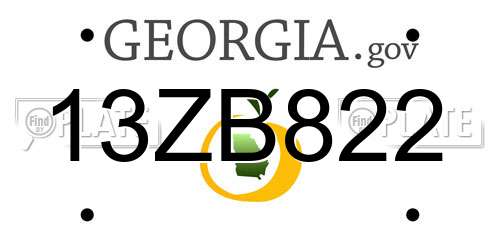 13ZB822 Georgia License Plate