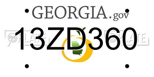 13ZD360 Georgia License Plate