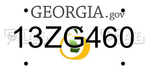 13ZG460 Georgia License Plate