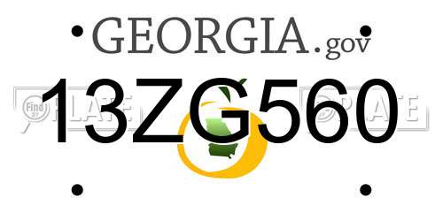 13ZG560 Georgia License Plate