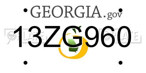 13ZG960 Georgia License Plate
