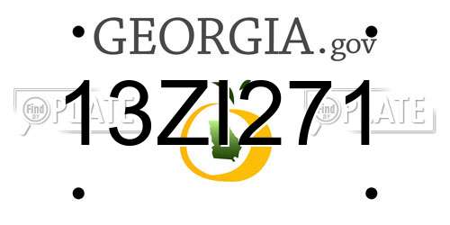 13ZI271 Georgia License Plate