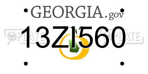 13ZI560 Georgia License Plate