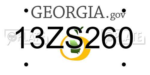 13ZS260 Georgia License Plate