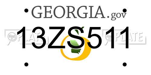 13ZS511 Georgia License Plate