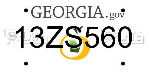 13ZS560 Georgia License Plate