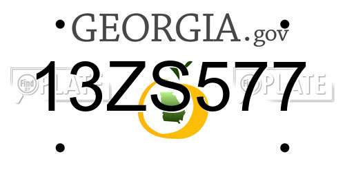 13ZS577 Georgia License Plate