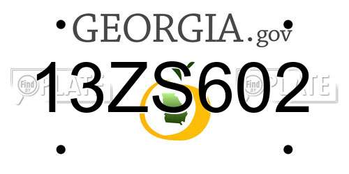13ZS602 Georgia License Plate