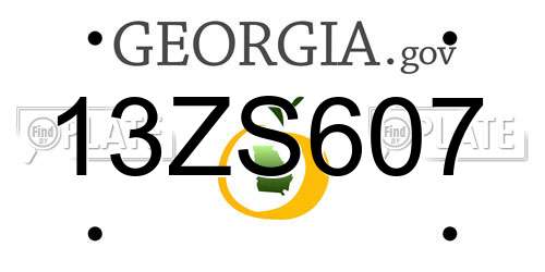 13ZS607 Georgia License Plate