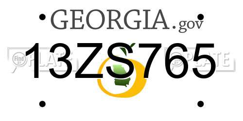 13ZS765 Georgia License Plate
