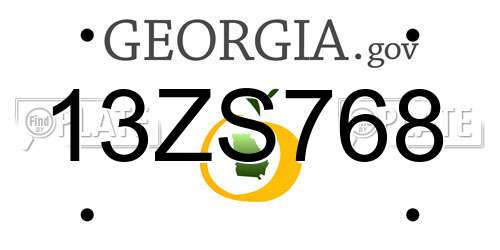 13ZS768 Georgia License Plate
