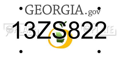 13ZS822 Georgia License Plate