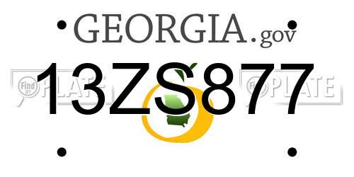 13ZS877 Georgia License Plate