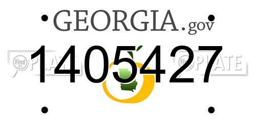 1405427 Georgia License Plate