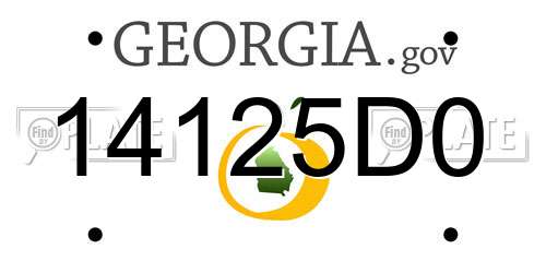 14125D0 Georgia License Plate