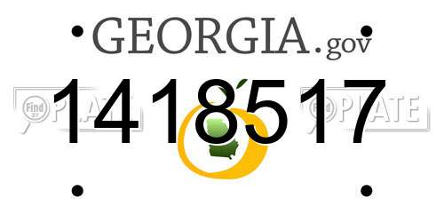1418517 Georgia License Plate
