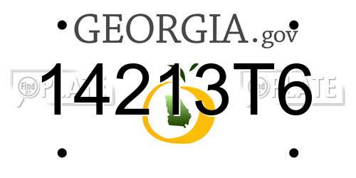 14213T6 Georgia License Plate