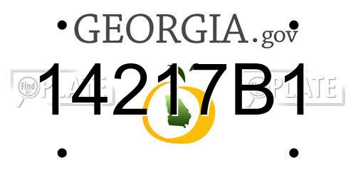 14217B1 Georgia License Plate