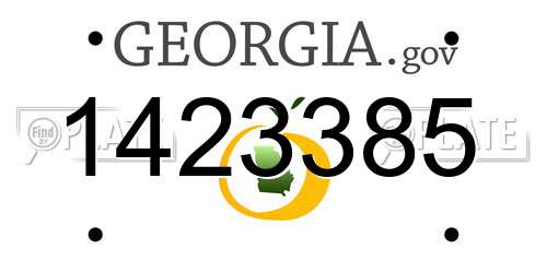 1423385 Georgia License Plate