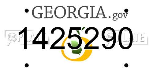1425290 Georgia License Plate