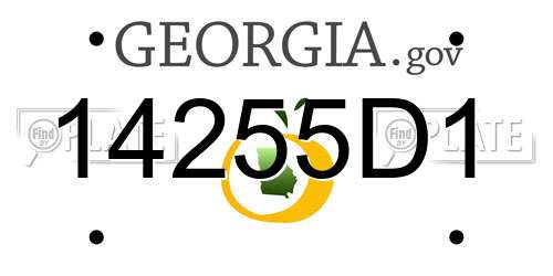 14255D1 Georgia License Plate