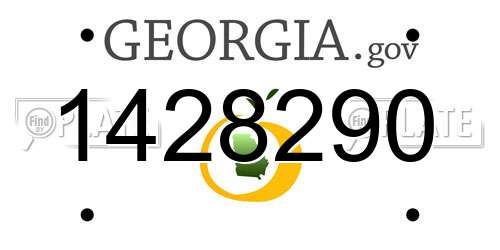 1428290 Georgia License Plate