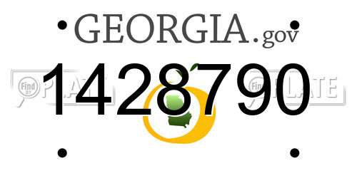 1428790 Georgia License Plate