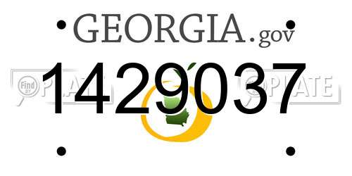 1429037 Georgia License Plate