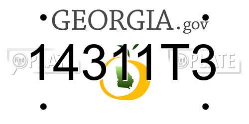 14311T3 Georgia License Plate