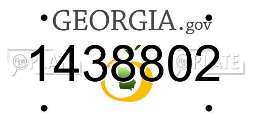 1438802 Georgia License Plate