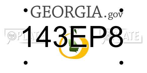 143EP8 Georgia License Plate