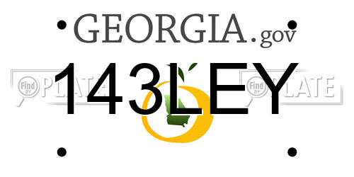 143LEY Georgia License Plate