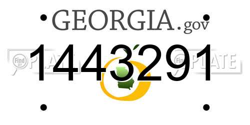 1443291 Georgia License Plate