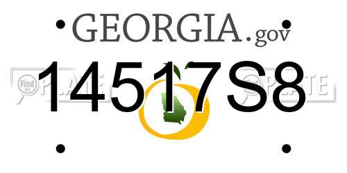 14517S8 Georgia License Plate