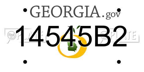 14545B2 Georgia License Plate