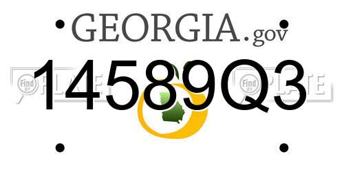14589Q3 Georgia License Plate