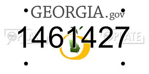 1461427 Georgia License Plate